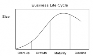 Business Life Cycle